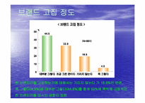[소비자행동론] 브랜드이미지가 구매자 구매에 미치는 영향-14