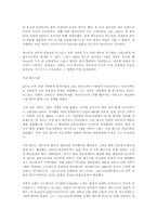이란의 역사. 레포트-9