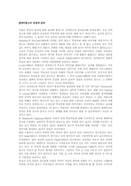 [정치커뮤니케이션] 정치광고-8