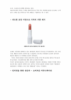 [마케팅전략] 미샤의 마케팅전략 분석 연구-4