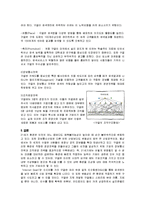 기업경영 사례 - 구글의 경영전략-4