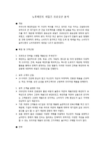 노루페인트 세일즈 프로모션 분석-1