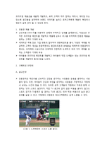 노루페인트 세일즈 프로모션 분석-2