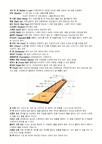 개인 스포츠 - 볼링에 관해서-3