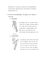 경락미용 - 12가지의 수요경락과 독맥, 임맥 등의 단계 및 역할이해-2