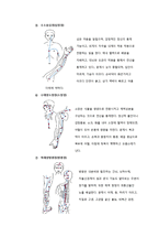 경락미용 - 12가지의 수요경락과 독맥, 임맥 등의 단계 및 역할이해-4