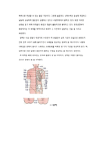 경락미용 - 12가지의 수요경락과 독맥, 임맥 등의 단계 및 역할이해-9