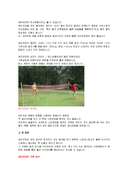 스포츠 - 배드민턴 효과, 배드민턴 기본 상식, 배드민턴의 기술-2