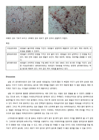 생물학 실험 - 세포관찰-4