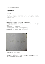 생물학 실험보고서 - 원생생물 관찰-2