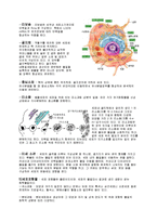 해부학 - 세포의 구조와 기능-4