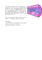 해부학 - 세포의 구조와 기능-5