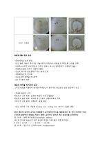 [무기화학실험] Sol-Gel Silica Preparation(솔겔 실리카 합성)-4