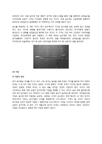 대기화학 및 실험 - 실내외 CO2, 온도, 상대습도, 기압 측정을 통한 CO2의 농도보정-11