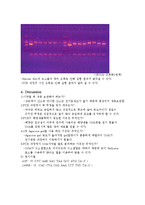 실험보고서 - 해양 미생물 DNA를 이용한 PCR 전기영동 실험-3