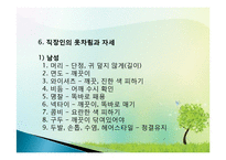 직장인 예절 교육(근무예절, 근무자세, 직장인기본자세) ppt, 파워포인트-11