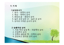 직장인 예절 교육(근무예절, 근무자세, 직장인기본자세) ppt, 파워포인트-19