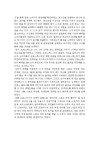 프로스펙스W 마케팅 성공요인분석및 브랜드분석과 프로스펙스W 문제점및 새로운 마케팅전략 제언레포트-8