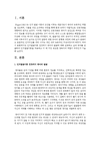 인지발달이론 입장에서 영아의 발달에 대해 설명하고 실제 영아를 관찰하여 인지발달이론을 적용하고 이 때 가장 중요한 양육자의 역할-2