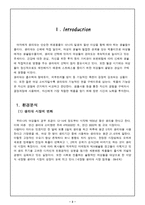 생리대 마케팅 보고서-2