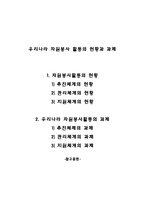 우리나라 자원봉사활동의 현황과 과제(자원봉사활동의 문제점, 과제)-1