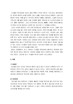 [의복의 역사] 조선시대 의복 - 조선시대 복식의 특징, 개짐, 서민들의 의복, 기녀들의 의복, 속옷, 장신구-6
