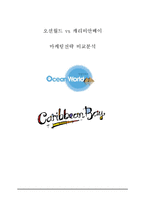 캐리비안베이 vs 오션월드 마케팅전략 비교분석및 오션월드,캐리비안베이 브랜드분석및 SWOT분석과 새로운 마케팅전략제안-1