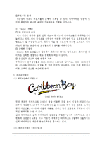 캐리비안베이 vs 오션월드 마케팅전략 비교분석및 오션월드,캐리비안베이 브랜드분석및 SWOT분석과 새로운 마케팅전략제안-4