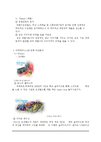 캐리비안베이 vs 오션월드 마케팅전략 비교분석및 오션월드,캐리비안베이 브랜드분석및 SWOT분석과 새로운 마케팅전략제안-6