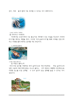 캐리비안베이 vs 오션월드 마케팅전략 비교분석및 오션월드,캐리비안베이 브랜드분석및 SWOT분석과 새로운 마케팅전략제안-7