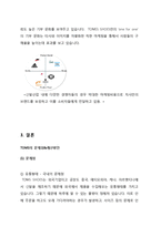 탐스슈즈 TOMS 마케팅 전략분석과 탐스슈즈 커뮤니케이션 전략분석및 탐스슈즈 문제점분석과 개선전략제안-12
