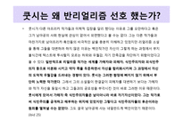 쿳시 `Disgrace` 작품연구-9