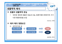 남녀의 차이에 따른 교육방안-5