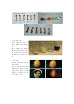만 5세 유아 과학교육-물체와 물질 알아보기-17