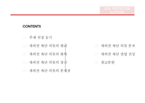 전자파 차단 의류 소재 연구-2