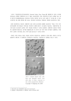전자파 차단 의류 소재 연구-15