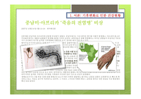 기후변화와 건강문제-4