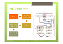 기후변화와 건강문제-15