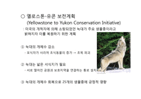 지구온난화와 보전생물학(Conservation biology)-15