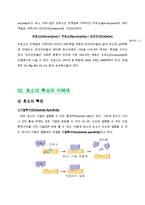 효소(Enzyme)의 원리-5