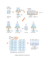 효소(Enzyme)의 원리-17