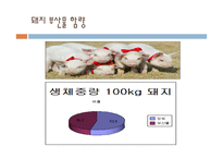 돼지 부산물의 영양과 이용사례, 취급방법-4