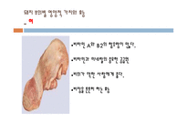 돼지 부산물의 영양과 이용사례, 취급방법-10