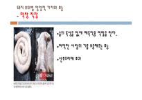 돼지 부산물의 영양과 이용사례, 취급방법-16