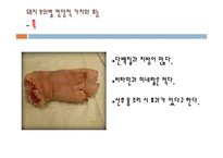 돼지 부산물의 영양과 이용사례, 취급방법-17