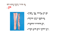 돼지 부산물의 영양과 이용사례, 취급방법-19