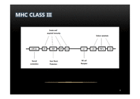 조류의 Class III MHC-8