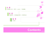 피치항공 경영전략분석과 피치항공 마케팅전략분석및 피치항공 SWOT분석과 향후시사점-2