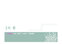 피치항공 경영전략분석과 피치항공 마케팅전략분석및 피치항공 SWOT분석과 향후시사점-3