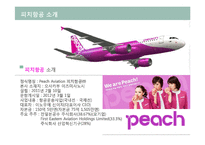 피치항공 경영전략분석과 피치항공 마케팅전략분석및 피치항공 SWOT분석과 향후시사점-4